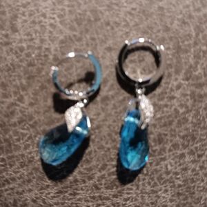 Elegant Blue and Silver Earrings